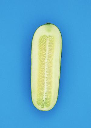 大切な家族や友人と銀座で贅沢和食ランチ